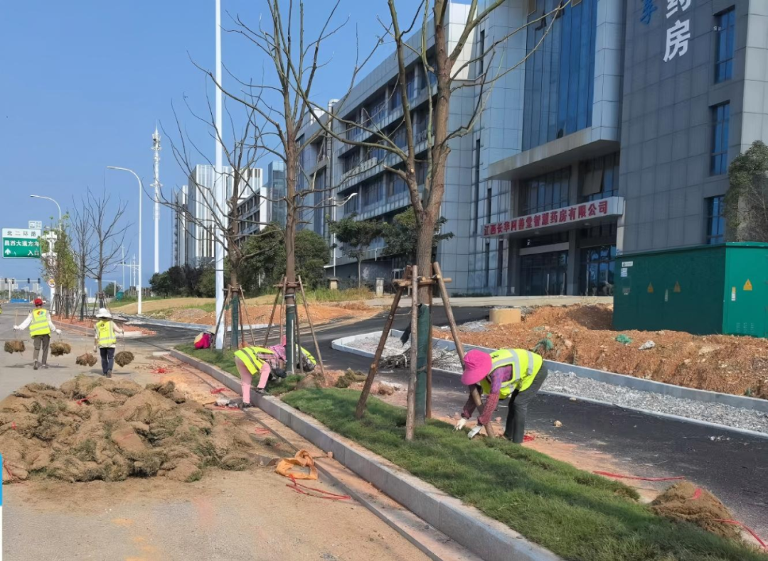 1754036141967442.png 8d281f84fd470d9c4eccde84698834b7_640_wx_fmt=png&from=appmsg&randomid=j4y6ivkq&tp=webp&wxfrom=5&wx_lazy=1.png